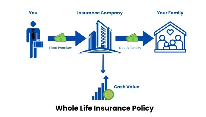 Whole life insurance policy (1)