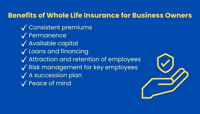 Whole life insurance policy (2)